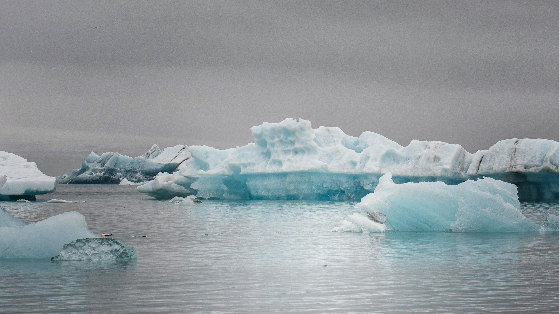 Antarctica | Weddell Sea Ice & Icebergs